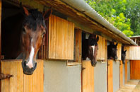 free Little Bardfield stable construction quotes